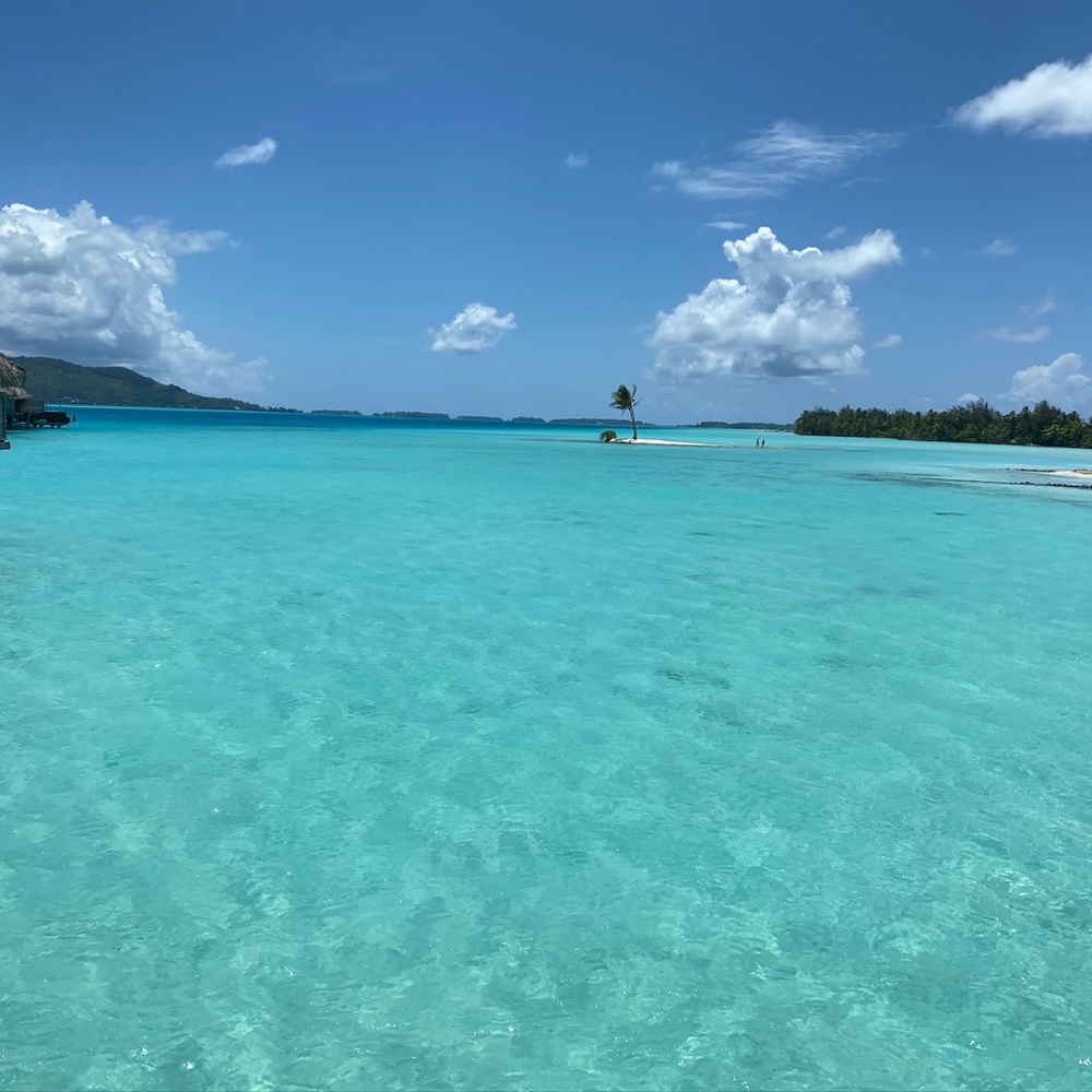 Meet your Posher, Nina